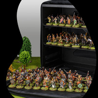 Miniature Case