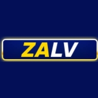 9Zalv Com