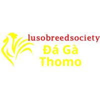 Đá Gà Trực  Tiếp Thomo