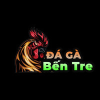 Đá Gà Bến Tre Hướng Dẫn & Chia Sẻ đá Gà Tại Bến Tre