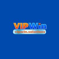  VipWin