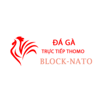 Da Ga Truc  Tiep Thomo