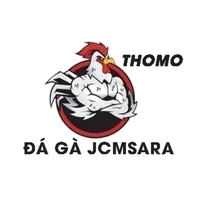 ĐÁ GÀ TRỰC TIẾP THOMO HÔM NAY