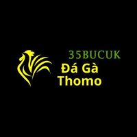 Da Ga Truc Tiep  Thomo
