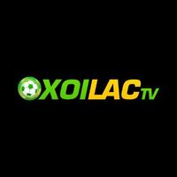 mollysmovementcom dieweb