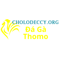 Đá Gà Trực Tiếp  Thomo