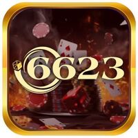 6623 vnshop