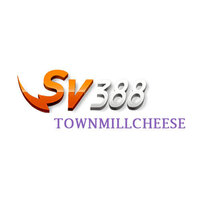 SV388  town