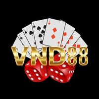 VND 88