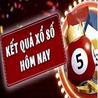 Soicau247in Net