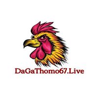 ĐÁ GÀ THOMO 