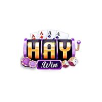 Haywin Art