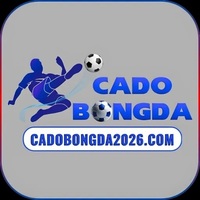 Trang cá độ  bóng đá
