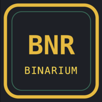 Fair launch BNB token